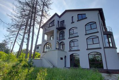 Domeniu Protocol Snagov 140m la Lac  11.000 mp Teren | Rezidență sau Evenimente - 6