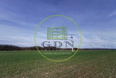 Teren extravilan de vanzare in Sacadat, 21.496 mp, cu deschidere de 42 m la E60. - 3