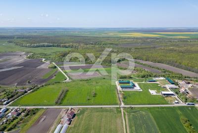 Black Angus Farm with authorized Slaughterhouse - 5