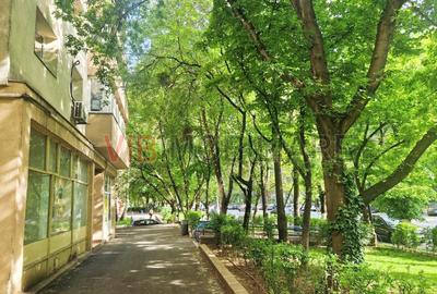 Apartament 4 camere  Calea Văcărești lângă Palatul Copiilor  Parcul Tineretului - 10