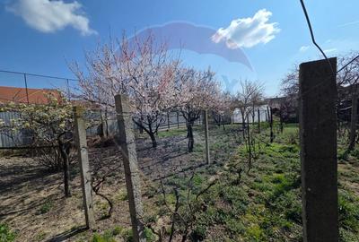 Casă deosebita ultracentral Salonta - 19