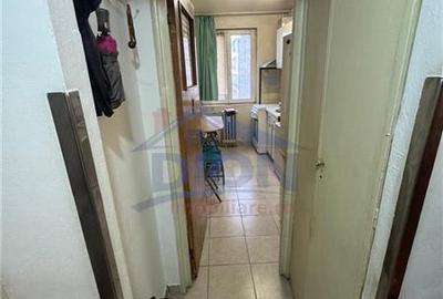 APARTAMENT 2 CAM, DRISTOR BABA NOVAC - 8