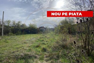 Teren intravilan 1.400 mp - Schitu Golesti AG - 1