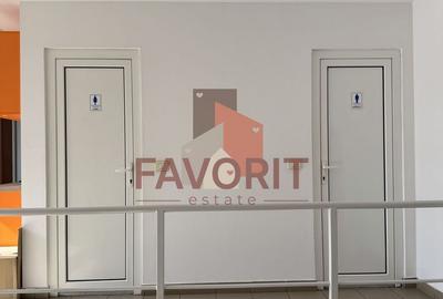 Spatii de birouri in centrul Timisoarei. Disponibile imediat - 16