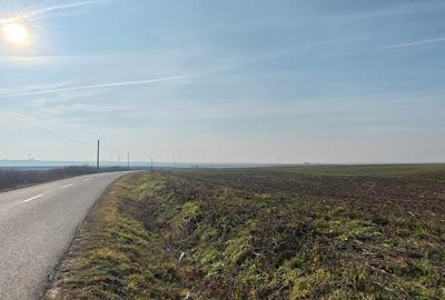 Teren extravilan in localitatea  Nojorid - 7.100 mp, cu posibilitate extindere - 2