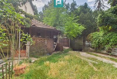 Casă individuală cu 3 camere în Lunei