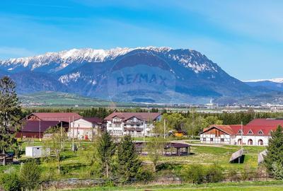 Complex Turistic Panicel, DN73A - 7