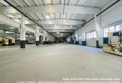 Hale Calea Chisinaului Iasi, aproape de Carrefour de la 65mp la 2000mp - 1