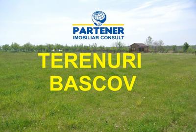 Teren Bascov, diverse suprafete - 1