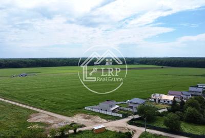 OPORTUNITATE INVESTIȚIE:Teren intravilan 25.000mp Dascălu-Pădure, parcelabil - 13