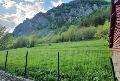 Teren de vânzare în Lepșa – ideal pentru pensiune sau casă de vacanță - 1