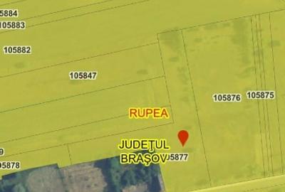 Teren intravilan 8100 mp la  DN13, oras Rupea, jud. Brasov - 2
