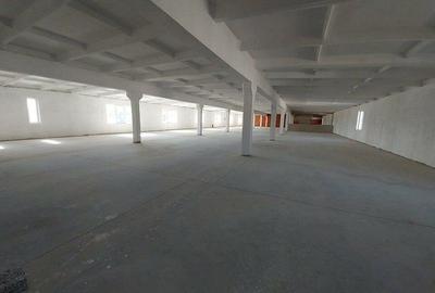 Hala depozitare, productie Bodrogului Aeroport Arad Autostrada A1 - 4