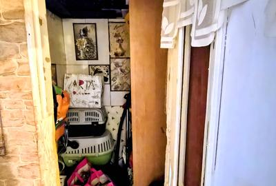Apartament cu 1 cameră, zona Bălcescu, spațios, cu grădină - 6