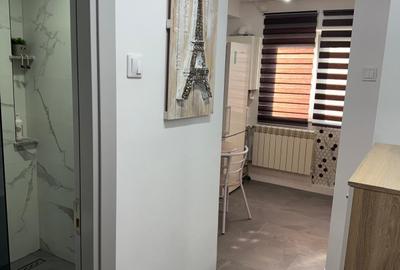 Garsoniera de inchiriat Gorjului (5 minute de Metrou/Centrala Proprie) - 14