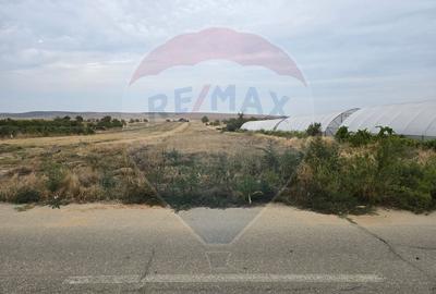 Teren intravilan 5000 mp Isalnita - 1