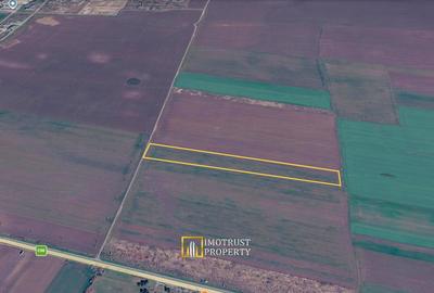 Teren agricol de vanzare Vladimirescu, Arad - 2