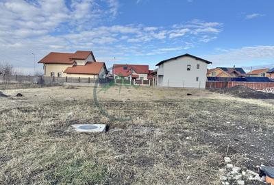 Teren Sanpetru Primaverii toate utilitatile - 5