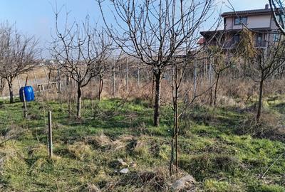 Teren intravilan 345 mp Vidra, deschidere 12 m, ideal pentru - 9