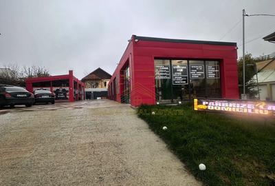 Inchiriere - Spatiu multifunctional auto / logistic - 20