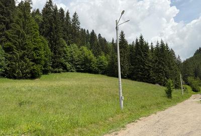 Teren de vânzare în Toplița – oportunitate pentru investiție turistică - 5