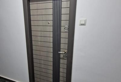 Studio 2 camere Theodor Pallady - 4