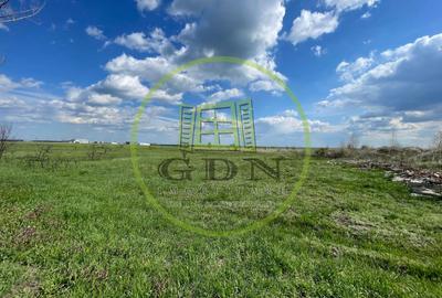 Teren intravilan 10013 mp Pielești DN65 - 1