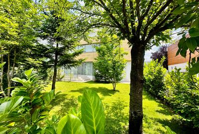 Vila moderna de vanzare 6 camere Iancu Nicolae - Mark Twain, Bucuresti 450 mp - 5