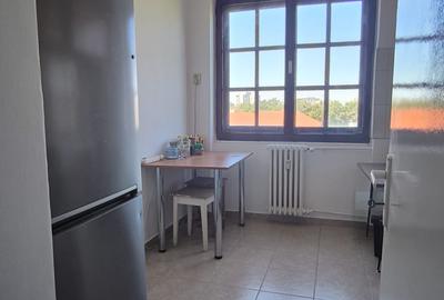 Zona Iulius Mall-str Popa Sapca, mobilat, utilat complet - 10