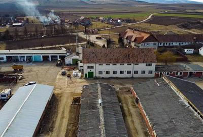 Ansamblu agrozootehnic cu renume,dotat +valoare exceptionala+potential versatil, - 49