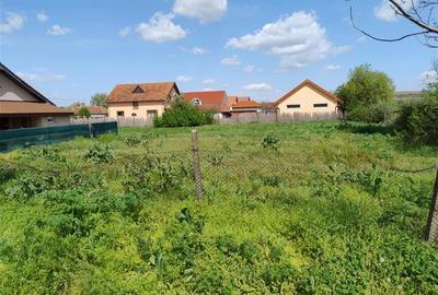 Teren Construcții intravilan de 500 mp, în Biharia