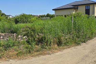 Teren intravilan de vanzare 538 mp Focsani-Livada - 3