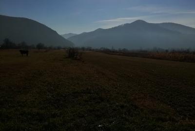 Teren Construcții intravilan de 5500 mp, în Exterior Vest