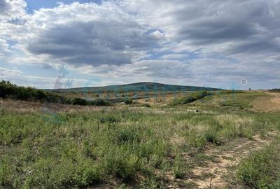 Teren intravilan de vanzare, Cheriu, Bihor - 4