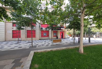 SPATIU COMERCIAL, BD. DECEBAL - PIATA ALBA IULIA - 2