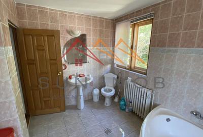 Vila de vanzare, teren 3100 mp, 7 camere, 6 grupuri sanitare, 3 CT, an 1997 - 22