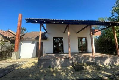 Casa solida, moderna si luminoasa; liniste totala in natura! - 16