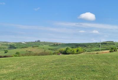 📏 teren pentru cabane Sibiu, Dealul Daii, Casolt, direct de la proprietar - 10