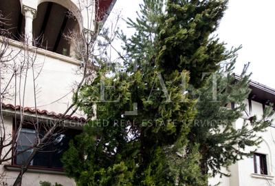 Inchiriere casa, vila 5 camere | Arhitectura deosebita, Curte | Stefan cel Mare - 34