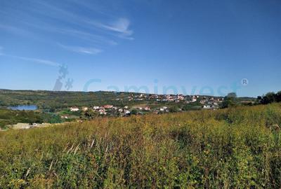 Teren intravilan de vanzare pentru dezvoltare imobiliara, Saldabagiu de Munte - 2