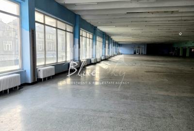 Spațiu Generos cu Terasă Circulabilă în Centru - 14