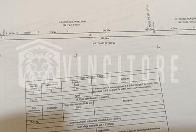 Teren Construcții intravilan de 7295 mp, în Mărăcineni