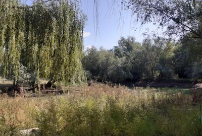 OCAZIE:Teren intravilan Tulcea-19euro/m.p. - 9