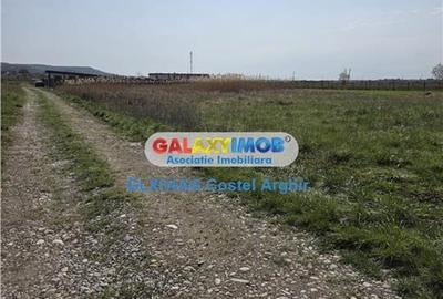 Vindem teren intravilan CC 620 mp in Calinesti - 7