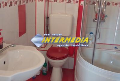 Casa semifinisata P+E+M de vanzare cu 600 mp teren in Centru  Alba Iulia - 8