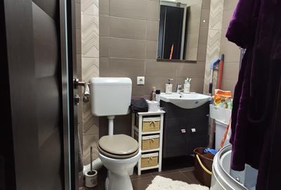 FARA COMISIOANE  casa mobilata elegant si utilata cu 3 camere 3 bai P+1 beci - 16