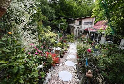 Casa de vanzare in Resita, zona muncitoresc - 10