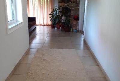 Proprietar vând casă în Dumbravița - 2