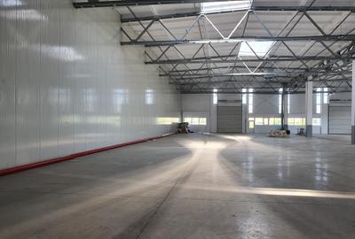 Hala 2400 mp, 4,50 e/mp - 1