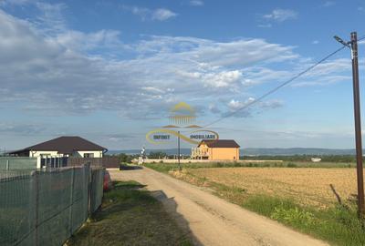 Teren de vanzare in Magura Bacau - 1